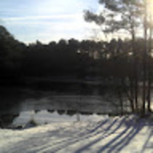 Meet your Posher, Rita